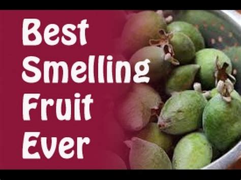 best smelling fruit.